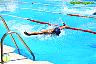 XXVI Circuito Provincial de Natación