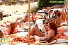Nikki Beach Amazing Sundays