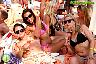 Nikki Beach Amazing Sundays