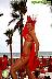 Red Closing Party 2010 en Nikki Beach Marbella