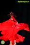 Hayal Oriental en Marbella