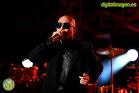 Concierto de Pitbull en Málaga