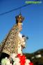 Procesión Virgen de la Cabeza de Álora