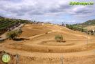Rally Autoclub Valle del Guadalhorce 2013