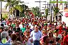 Romería Virgen de Flores de Álora