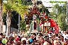Romería Virgen de Flores de Álora