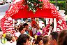 Romería Virgen de Flores de Álora