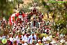 Romería Virgen de Flores de Álora