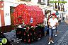 Romería Virgen de Flores 2010