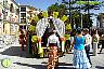Romería Virgen de Flores 2010