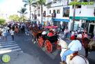 Romería Virgen de Flores 2014 en Álora