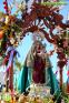 Romería Virgen de Flores 2014 en Álora
