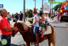 Romería Virgen de Flores 2014 en Álora