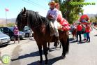 Romería Virgen de Flores 2014 en Álora