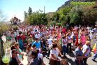Romería Virgen de Flores 2014 en Álora