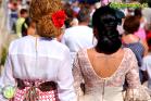 Romería Virgen de Flores 2014 en Álora