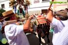 Romería Virgen de Flores 2014 en Álora