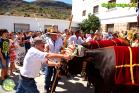 Romería Virgen de Flores 2014 en Álora