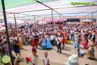 Romería Virgen de Flores 2014 en Álora