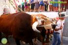 Romería Virgen de Flores de Álora 2016