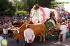 Romería Virgen de Flores de Álora 2016