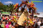 Romería Virgen de Flores de Álora 2016