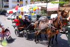 Romería Virgen de Flores de Álora 2016
