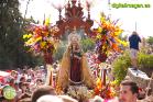 Romería Virgen de Flores de Álora 2016