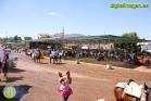 Romería Virgen de Flores de Álora 2016