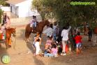 Romería Virgen de Flores de Álora 2016