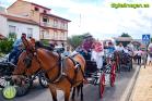 Romería Virgen de Flores de Álora 2018