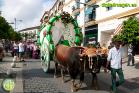 Romería Virgen de Flores de Álora 2019