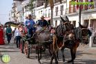 Romería Virgen de Flores de Álora 2019