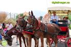 Romería Virgen de Flores de Álora 2019