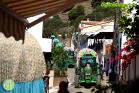 Ofrenda a la Virgen de La Cabeza de los Romeros Cristo de La Sierra