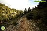 Por la Sierra de Las Nieves
