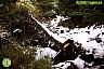 Por la Sierra de Las Nieves
