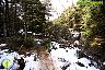 Por la Sierra de Las Nieves
