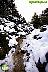 Por la Sierra de Las Nieves
