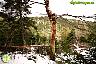 Por la Sierra de Las Nieves