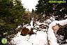 Por la Sierra de Las Nieves