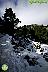 Por la Sierra de Las Nieves
