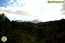 Por la Sierra de Las Nieves