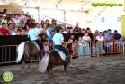 Sopas Perotas en Feria de Málaga 2014