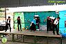 Verbena Virgen de la Cabeza en la Estación de Álora