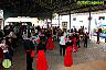 Verbena Virgen de la Cabeza en la Estación de Álora
